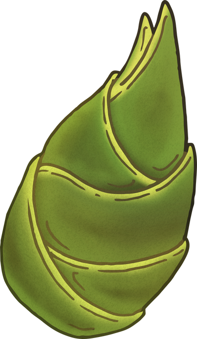 Hand Drawn Bamboo Shoot